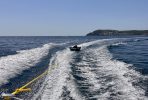 IMG_1344